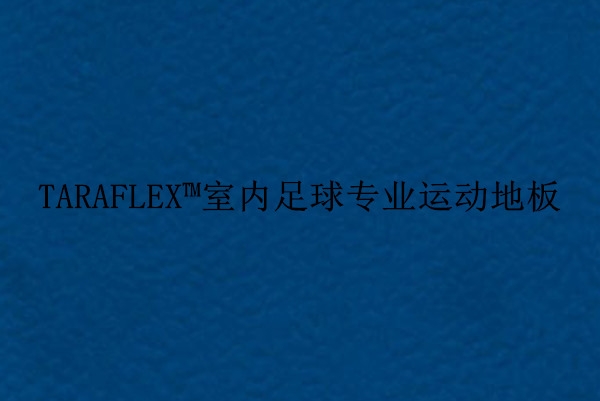 鶴壁室內(nèi)足球?qū)I(yè)運(yùn)動(dòng)地板